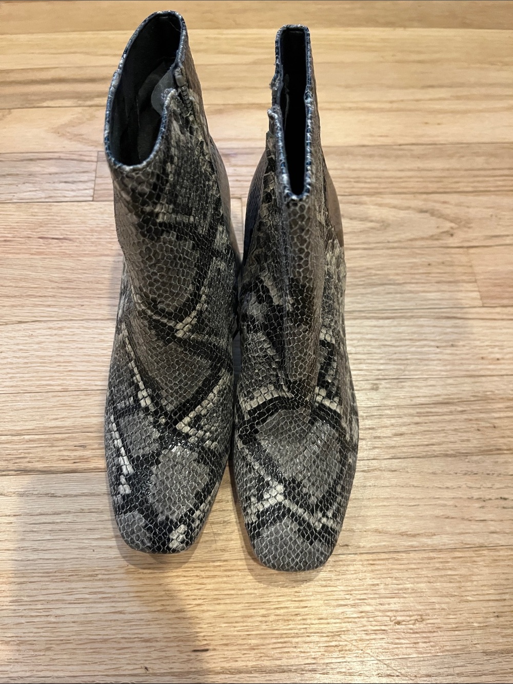 Circus by Sam Edelman Snake-Print Ankle Booties in Gray and Black